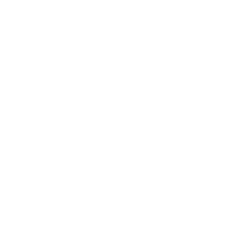 AN. company wit – trans (1)